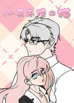 从天而降的猫动态漫画封面