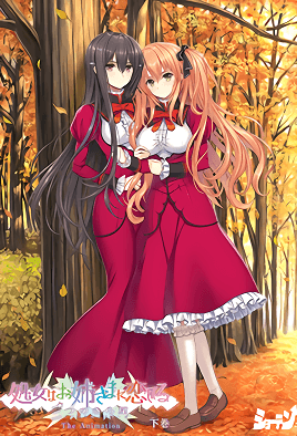 少女爱上姐姐 明亮的3颗星 2封面
