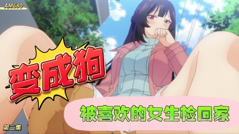 海边日记 003：奇幻冒险封面